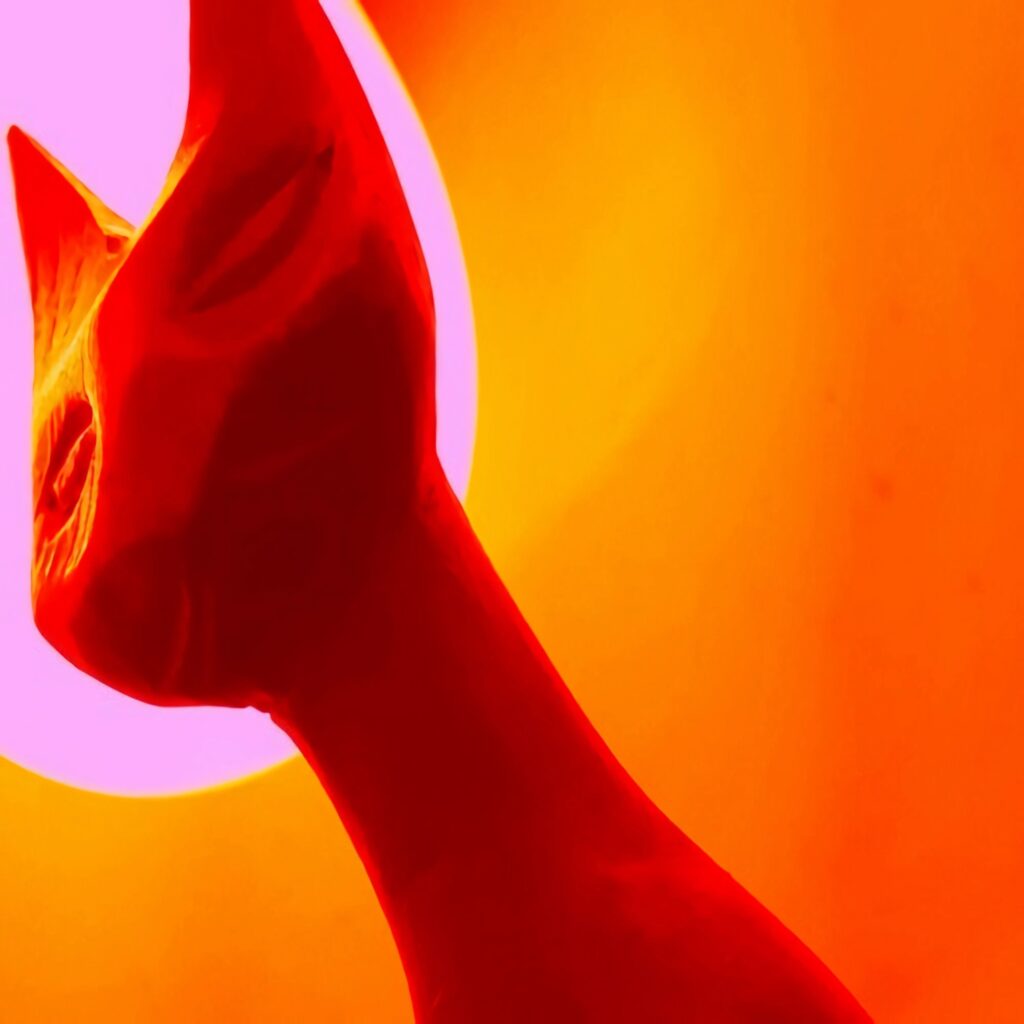 Forged from live electronic improvisation, this story-sonic hybrid drifts into deep space and deeper states of consciousness. As the crew enters torpor, reality warps, perception fractures, and sound becomes the medium of transmutation. This is speculative audio-fiction at the edge of signal and dream—where every frequency might just open a portal.