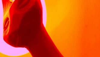 Forged from live electronic improvisation, this story-sonic hybrid drifts into deep space and deeper states of consciousness. As the crew enters torpor, reality warps, perception fractures, and sound becomes the medium of transmutation. This is speculative audio-fiction at the edge of signal and dream—where every frequency might just open a portal.